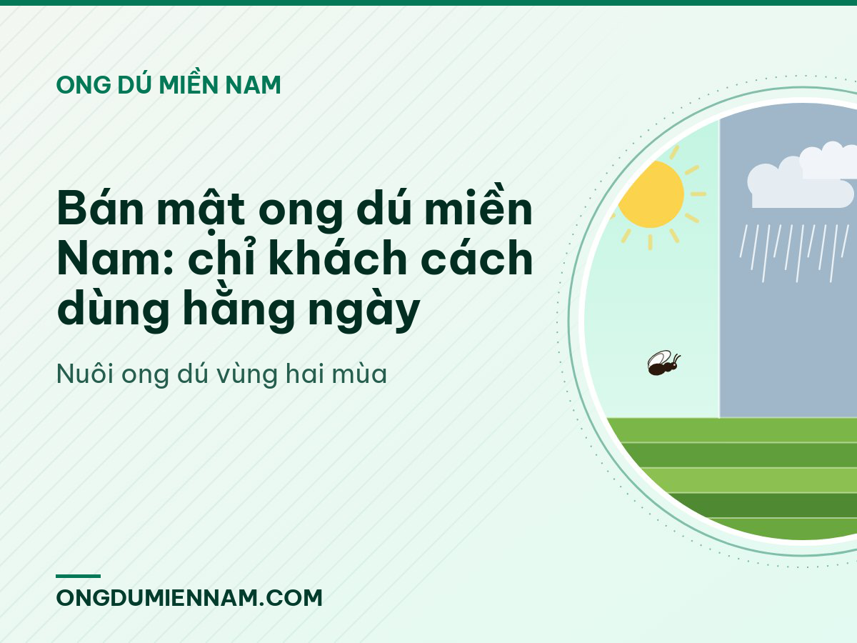 Bán mật ong dú miền Nam: chỉ khách cách dùng hằng ngày