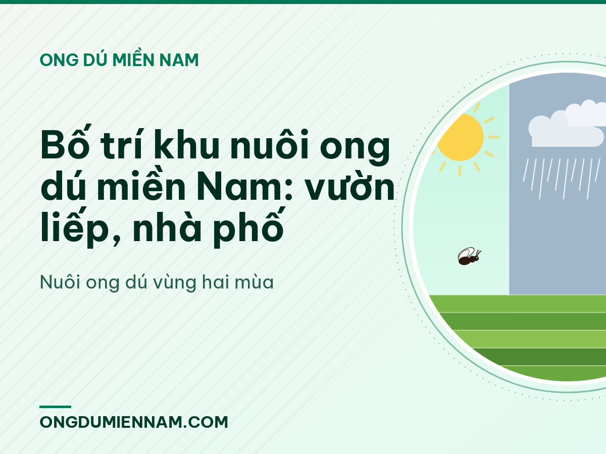 Bố trí khu nuôi ong dú miền Nam: vườn liếp, nhà phố