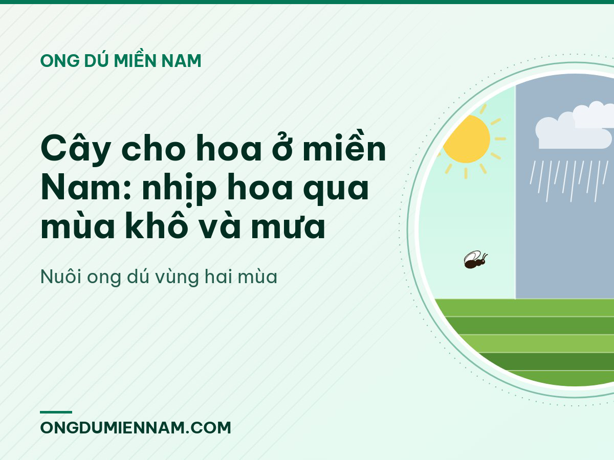 Cây cho hoa ở miền Nam: nhịp hoa qua mùa khô và mưa
