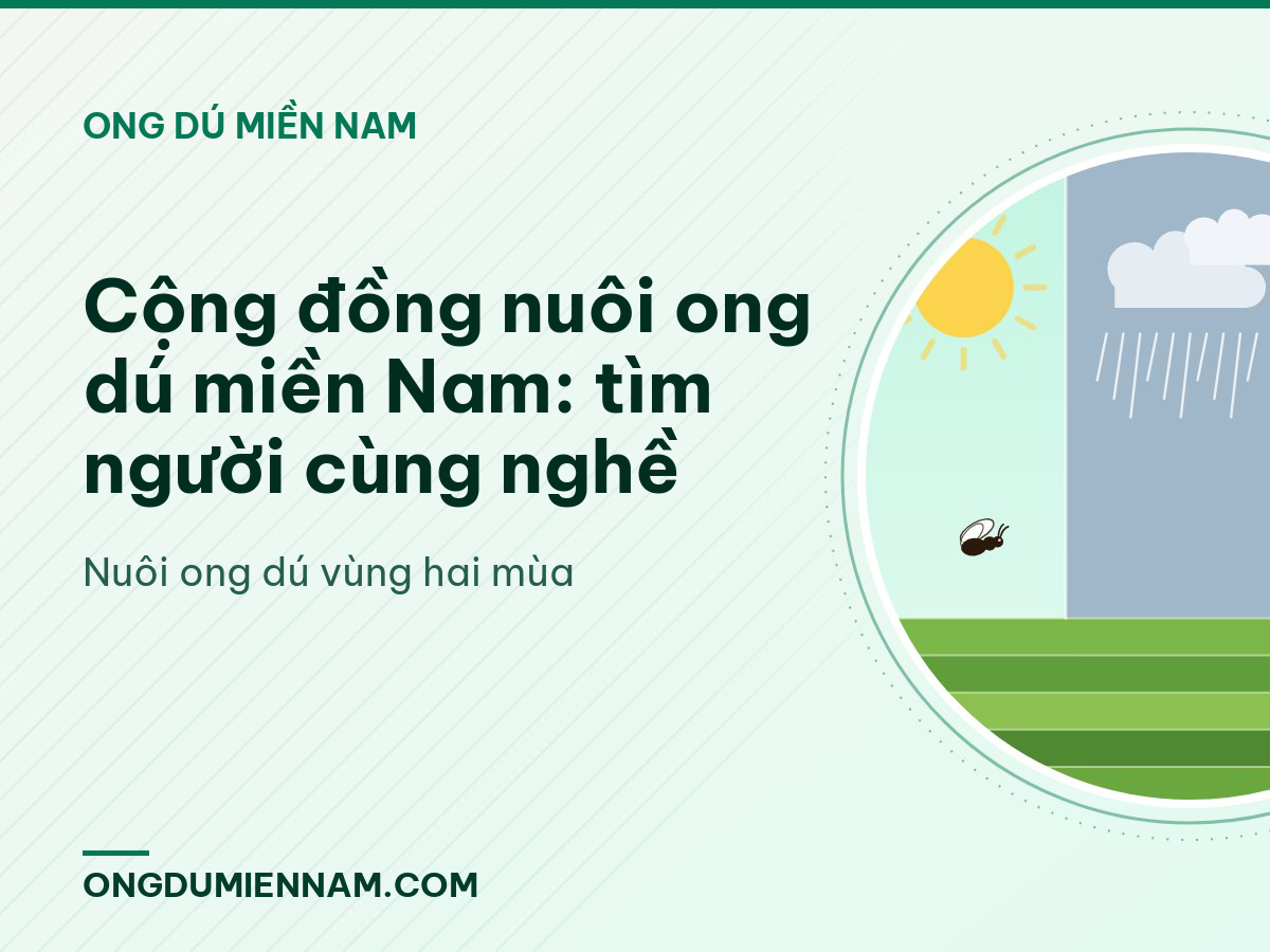 Cộng đồng nuôi ong dú miền Nam: tìm người cùng nghề