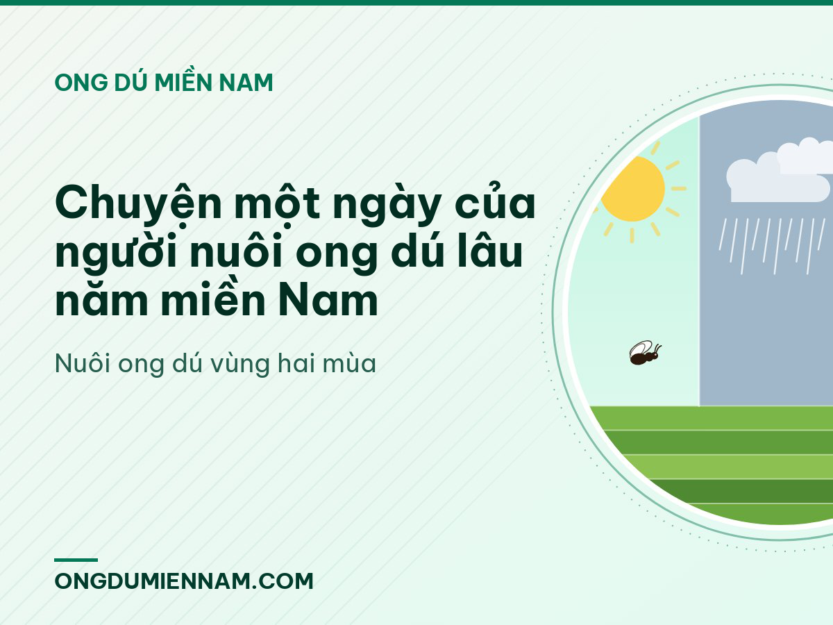 Chuyện một ngày của người nuôi ong dú lâu năm miền Nam