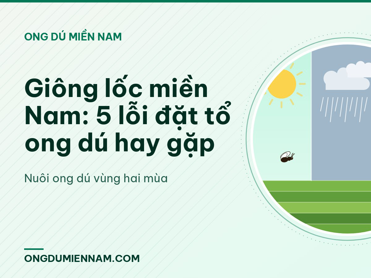 Giông lốc miền Nam: 5 lỗi đặt tổ ong dú hay gặp