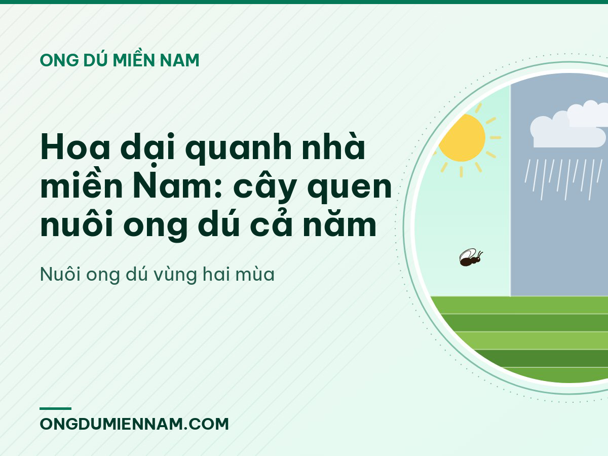 Hoa dại quanh nhà miền Nam: cây quen nuôi ong dú cả năm