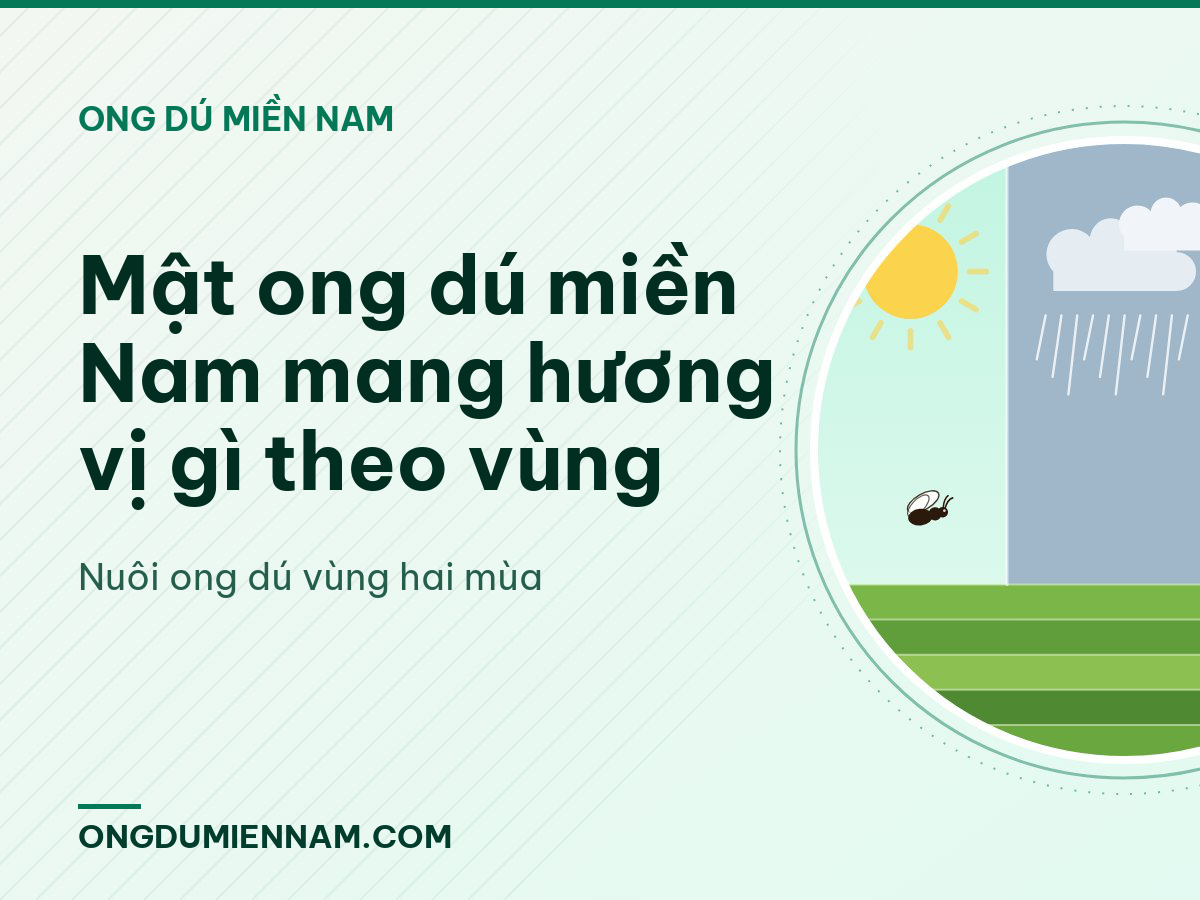 Mật ong dú miền Nam mang hương vị gì theo vùng