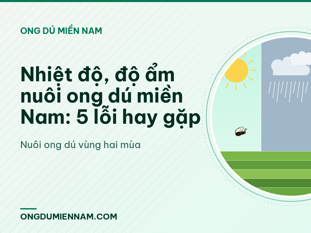 Nhiệt độ, độ ẩm nuôi ong dú miền Nam: 5 lỗi hay gặp