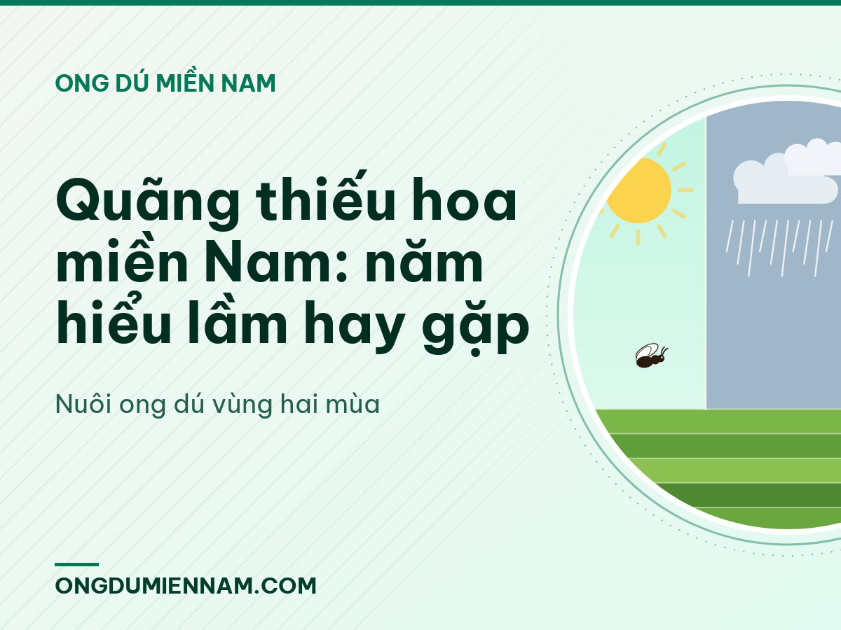 Quãng thiếu hoa miền Nam: năm hiểu lầm hay gặp