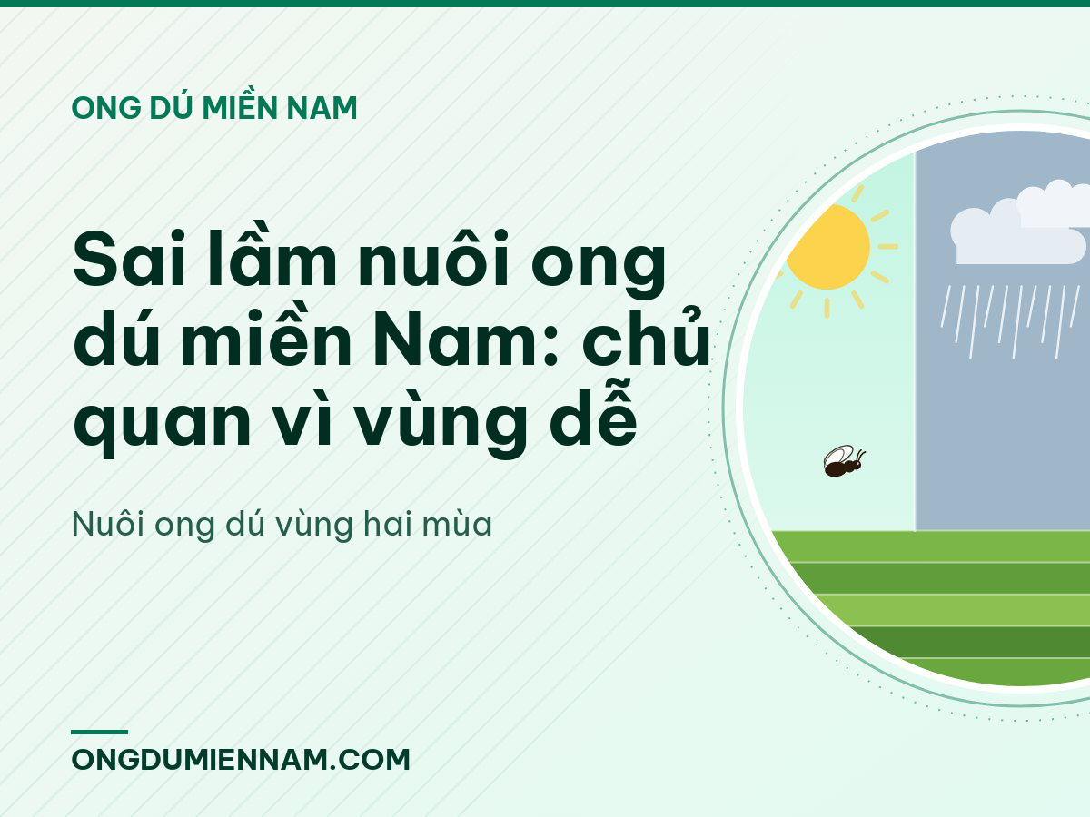Sai lầm nuôi ong dú miền Nam: chủ quan vì vùng dễ