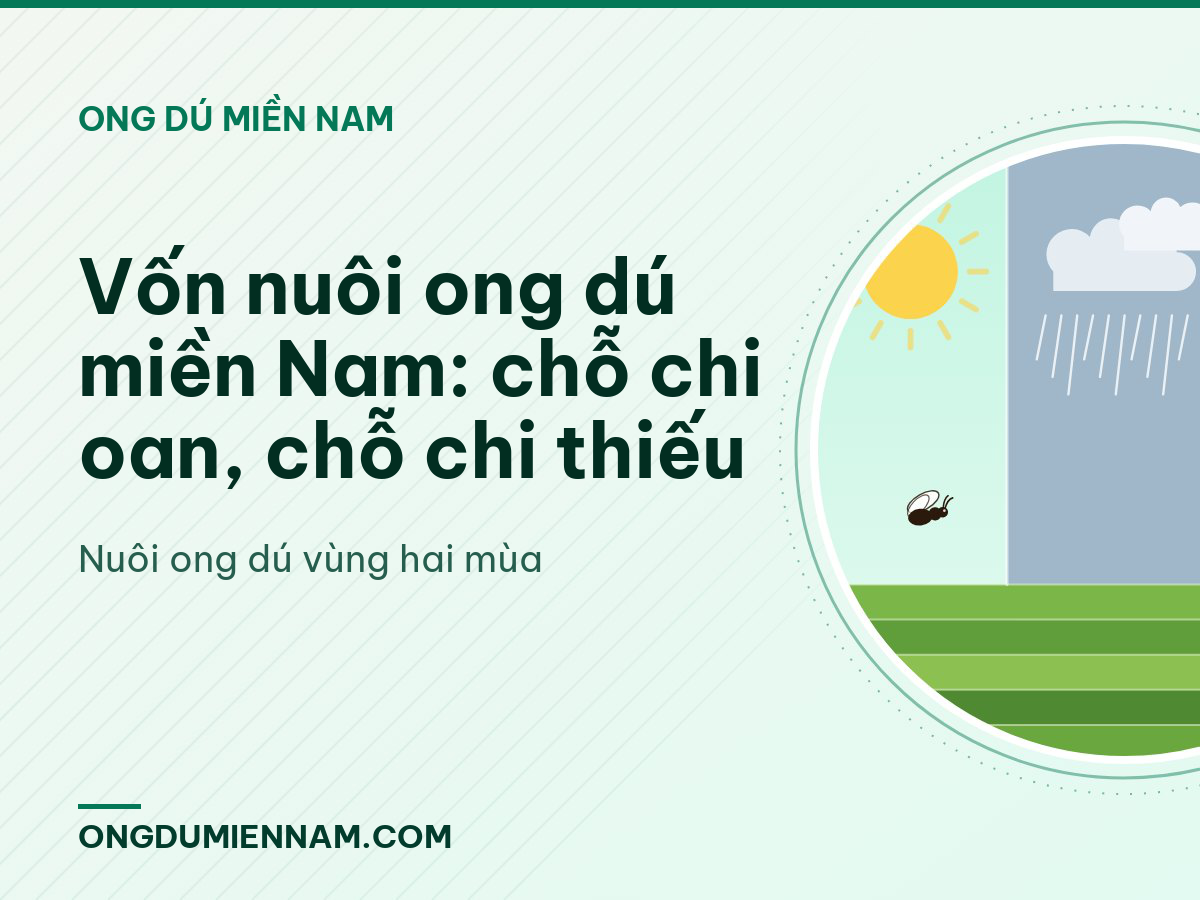 Vốn nuôi ong dú miền Nam: chỗ chi oan, chỗ chi thiếu