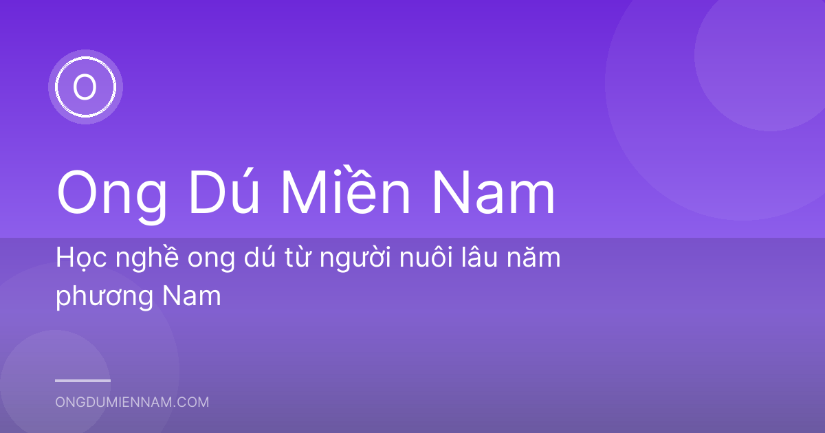 Học nghề ong dú từ người nuôi lâu năm phương Nam