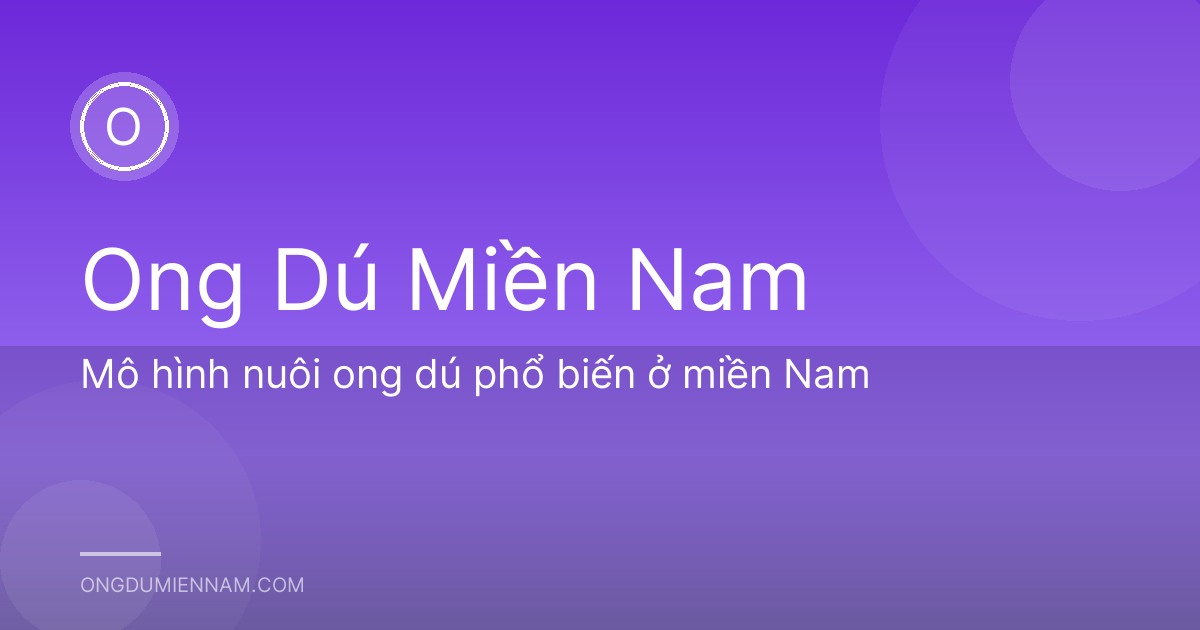 Mô hình nuôi ong dú phổ biến ở miền Nam