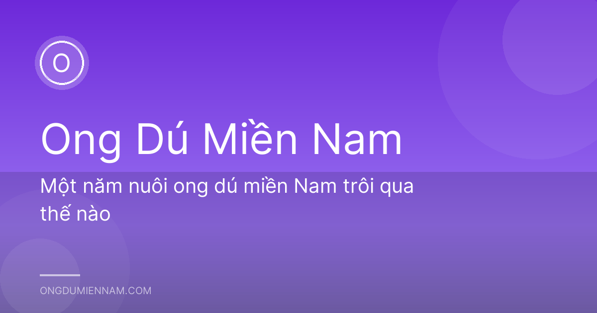 Một năm nuôi ong dú miền Nam trôi qua thế nào