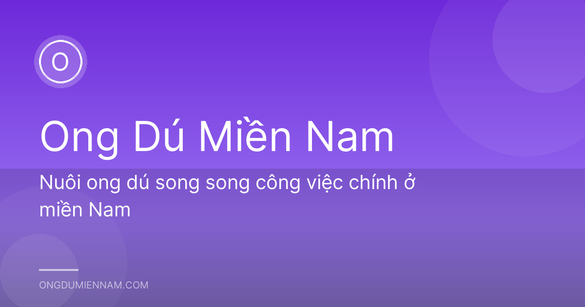Nuôi ong dú song song công việc chính ở miền Nam