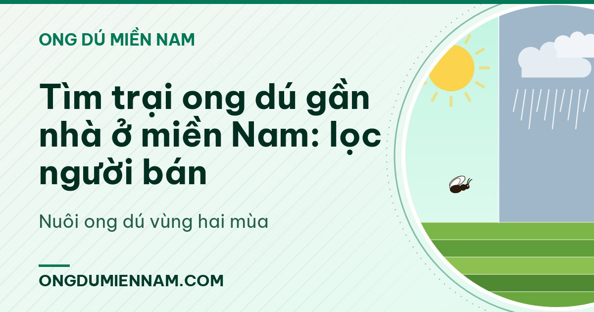 Tìm trại ong dú gần nhà ở miền Nam: lọc người bán