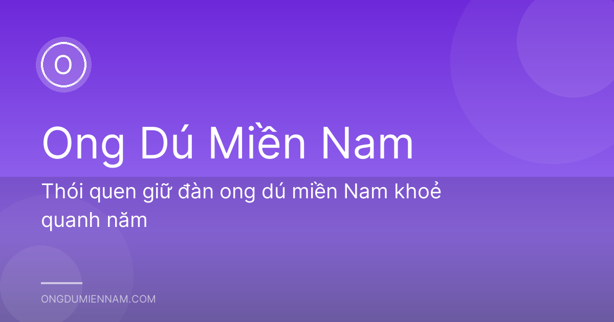 Thói quen giữ đàn ong dú miền Nam khoẻ quanh năm